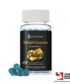 SHILAJIT GUMMIES ( 500MG ORGANIC SHILAJIT ) [60 GUMMIES - BLUEBERRY FLAVOR – SHILAVITALS