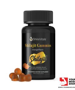 SHILAJIT GUMMIES ( 500MG ORGANIC SHILAJIT ) [60 GUMMIES - ORANGE FLAVOR – SHILAVITALS