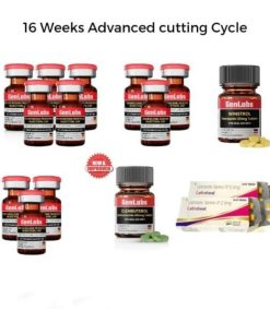 16 WEEKS ADVANCED CUTTING CYCLE