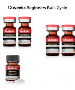 12 WEEKS BEGINNERS BULK CYCLE
