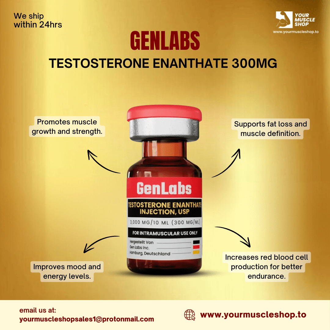 TESTOSTERONE ENANTHATE 300MG / PER ML – GENLABS - Image 2